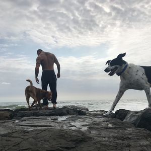 Meet your Posher, Philip